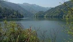 爆料罗村水库最新消息,揭秘水质改善与生态保护新进展