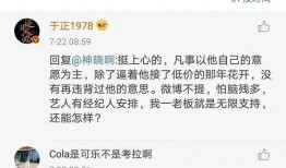 娱乐圈吃瓜文件叫什么,从“吃瓜文件”看明星幕后真相